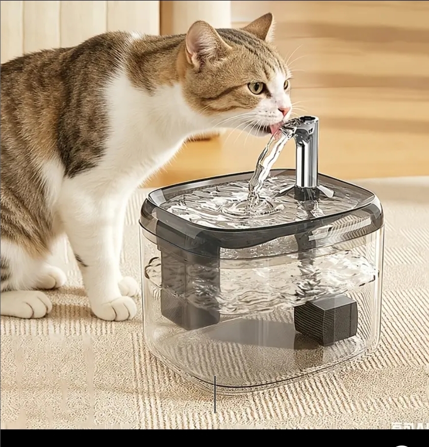$75部。🐾 貓主子不爱喝水？那是因为少了这台「神奇水龙头」！🐾