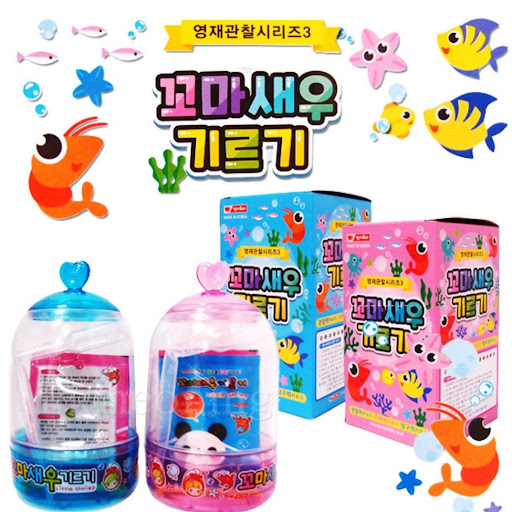 韩国养虾水族馆🇰🇷